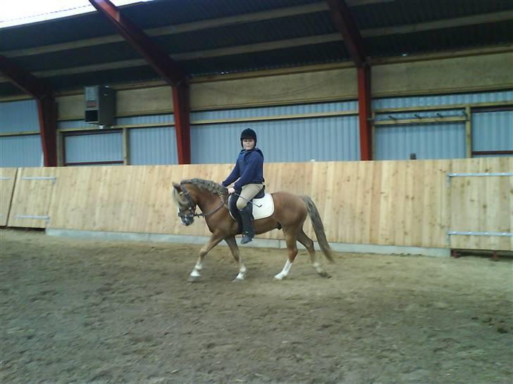 Anden særlig race Frede - Lækker,lækker,lækker billede 15