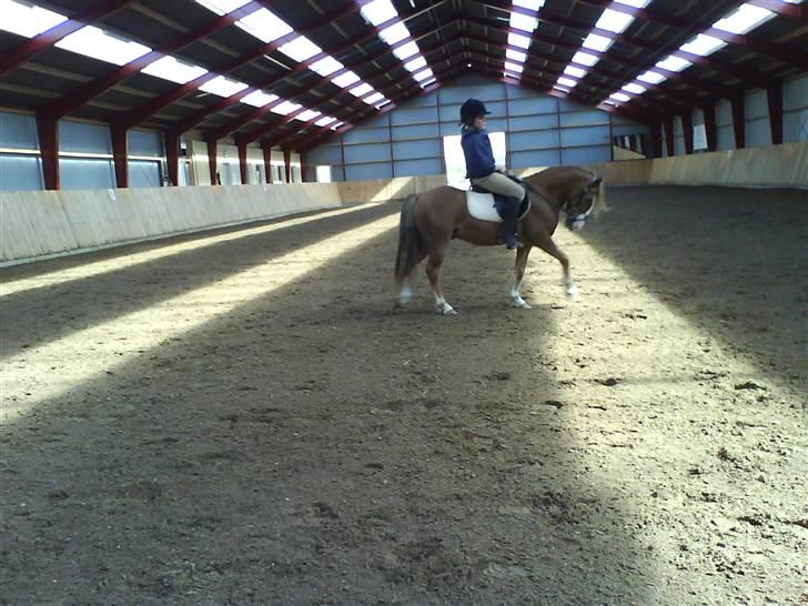 Anden særlig race Frede - Wow er jeg ik dygtig? billede 16