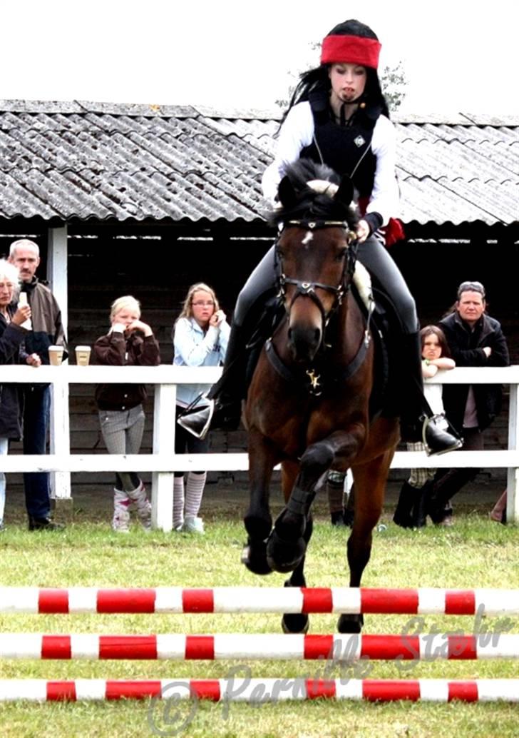 New Forest Bjørndal's Artist - Det fynske børnedyrskue 2009 Kostumespringning 3plads billede 13