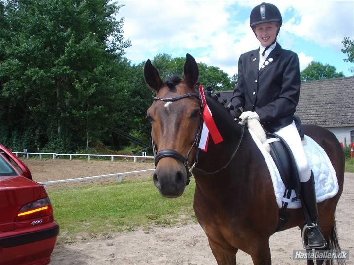 New Forest Bjørndal's Artist - Artist 1 plads på LSR<3 billede 15