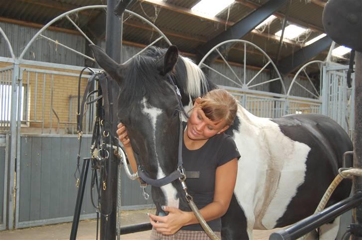 Pinto  Pinkas<3 Solgt - nåh min elskede skatter<3 billede 15