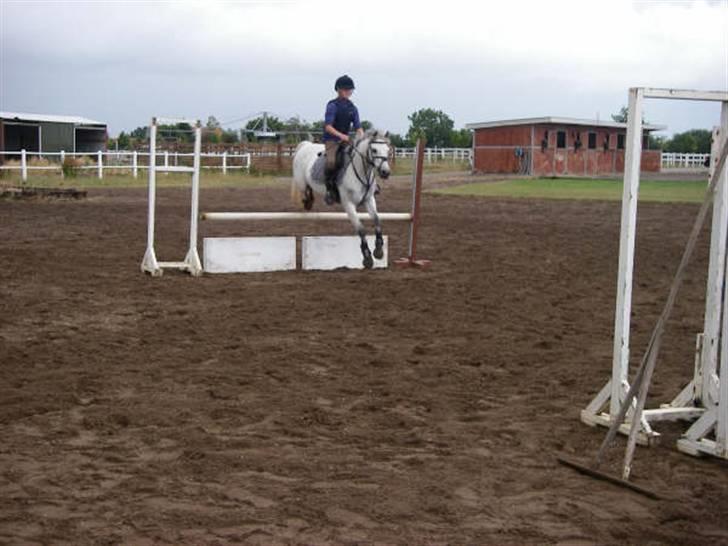 Belgisk Sportspony  | C Bloody Mary - Træning <3 billede 8