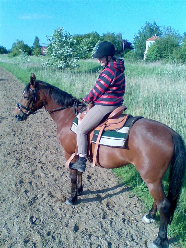 Anden særlig race Ally billede 6