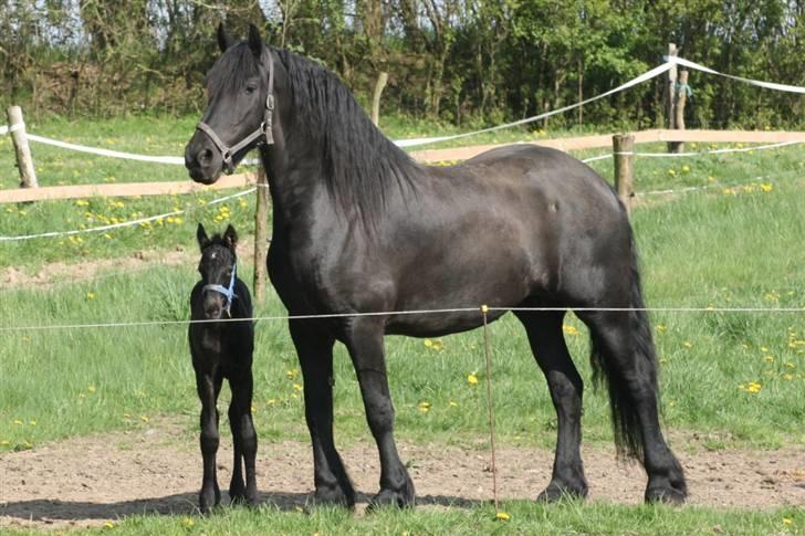 Frieser Maayke K. - Vi vil også gerne med ind. billede 12