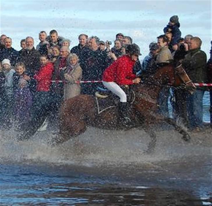 Hollandsk Sportspony Lotte - 8- århus hubertusjagt 08.  billede 8