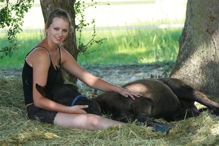 DSP moonjam´s classic touch  - Kazmir er faldet i søvn i mti skød :-) billede 3