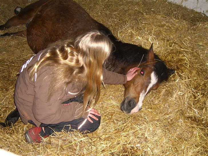 Anden særlig race tut  - lige efter hun haf folet<3 elsker dig skat<´33 billede 11