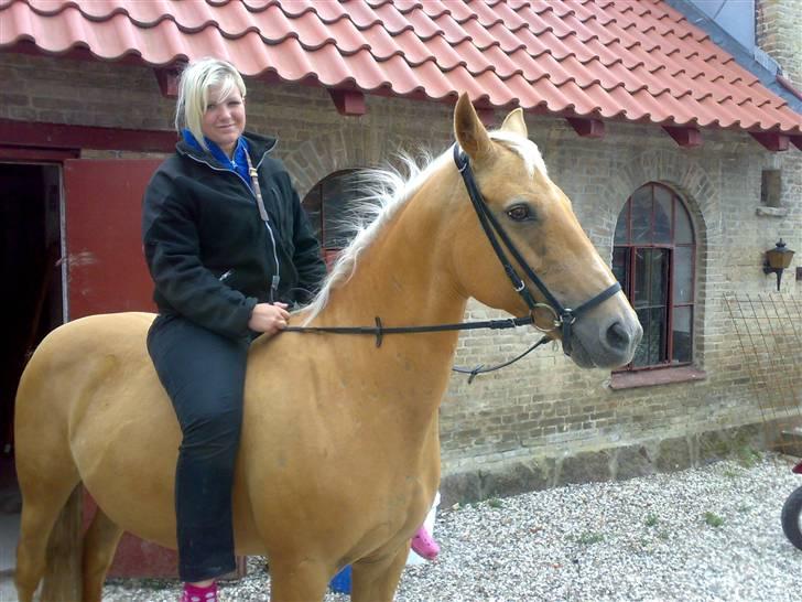 Anden særlig race Cabosa<3 Solgt <3 :) - Første gang på Cabosa efter et år ! :O , Hun var SÅ sød ! billede 17