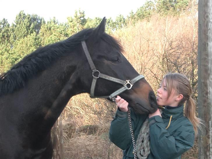 Dansk Varmblod Strauss *R.I.P* - ELSKER DIG FOR EVIG !! billede 2