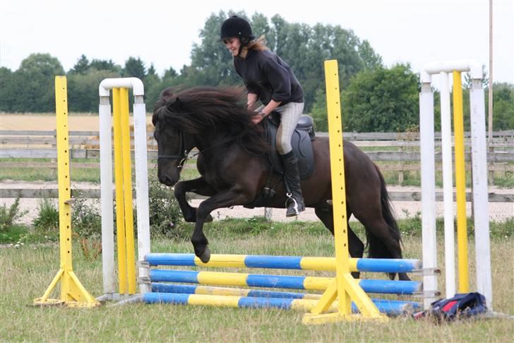 Islænder Sörli fra Søtofte - Sörli og jeg springer, kun anden gang i hans liv han prøver at springe :D FOTO: Sofie S billede 9