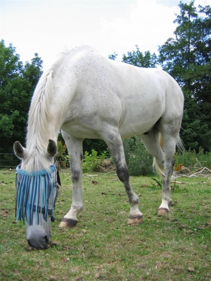 DSP Mr. Happy Goes Lucky billede 8