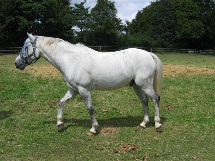 DSP Mr. Happy Goes Lucky billede 10