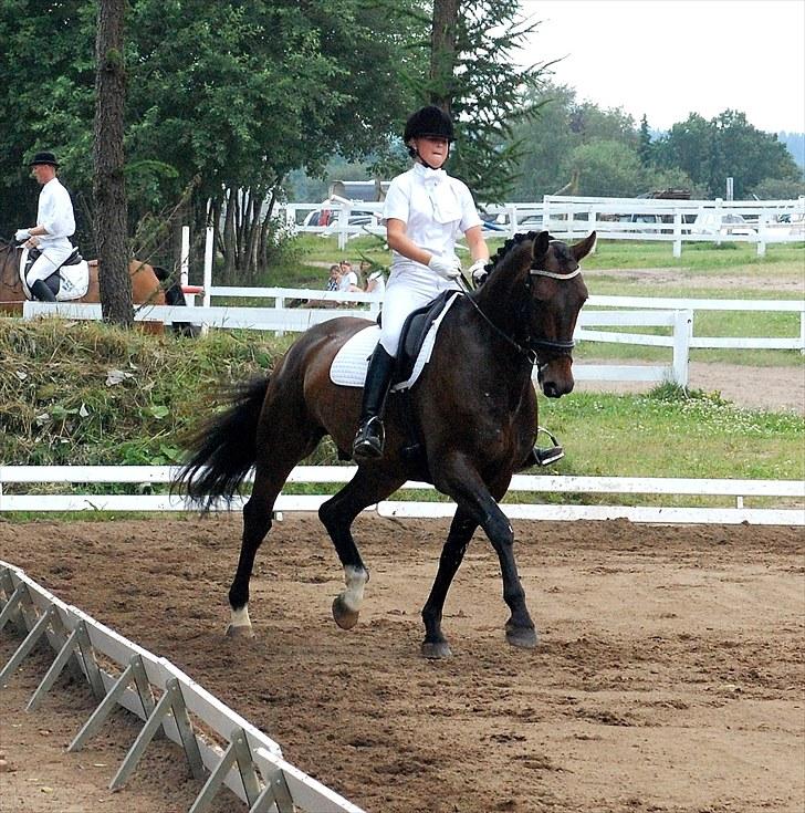 Oldenborg * Ebbe * - Silkeborg. Foto: Frida Dorthea Bertelsen billede 8