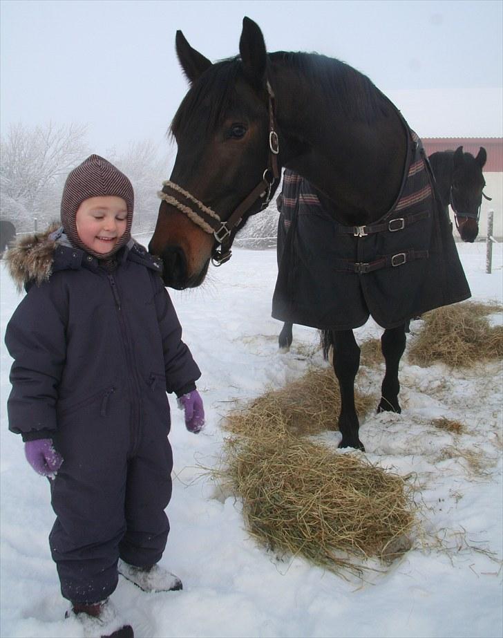 Oldenborg * Ebbe * - Ebbe og Frida, vinteren 2009. billede 11