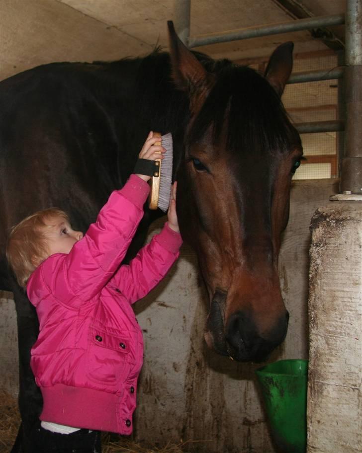 Oldenborg * Ebbe * - prinsen og Frida på 3... han bliver lige børstet  :) billede 12