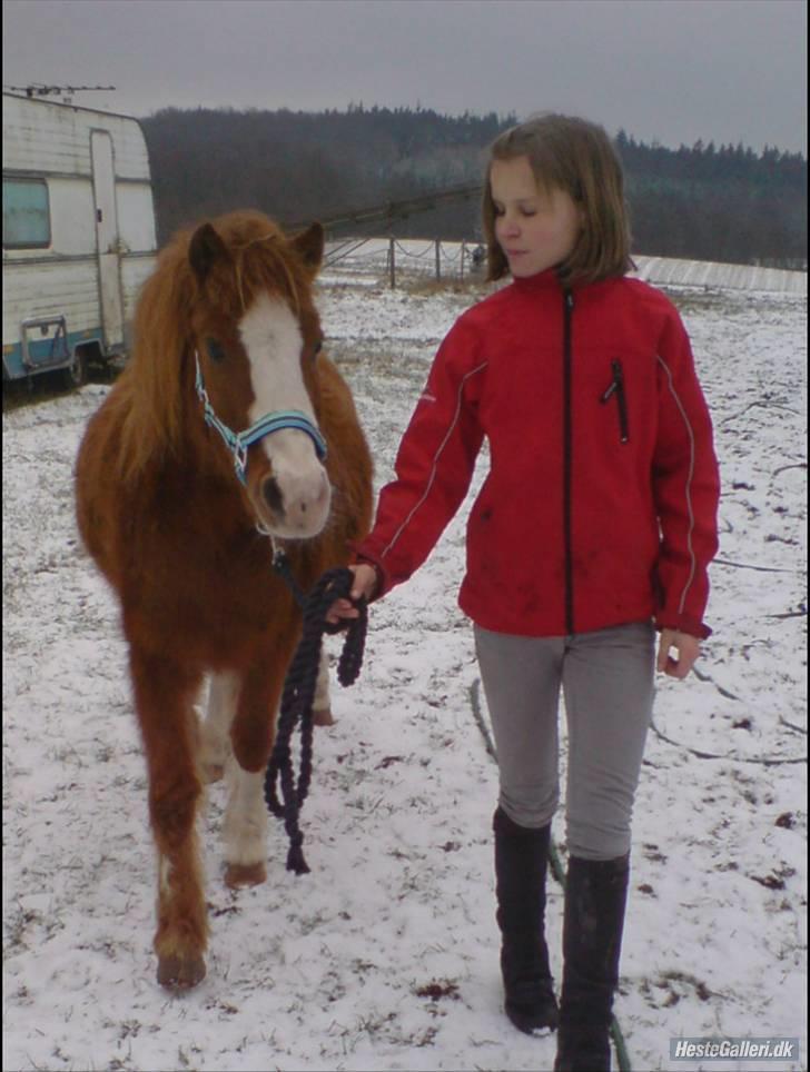 Anden særlig race Fannik'ilu'savner dig<3*; - Fannik , den bedste <3! billede 3