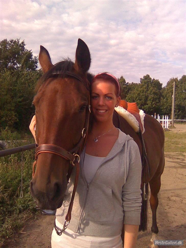 Traver Fasten Seat Belt  R.I.P. - Fazer og Anja. (Billede taget og udlånt af Anja M.) billede 1