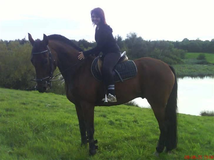 Traver Fasten Seat Belt  R.I.P. billede 3