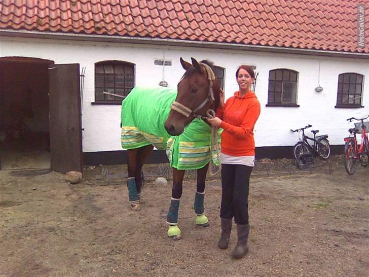 Traver Fasten Seat Belt  R.I.P. - Fazer og Anja. (Billede taget og udlånt af Anja M.)  billede 7