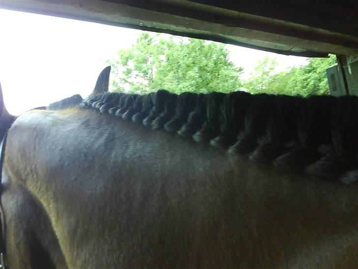 Traver morgan bork *død* billede 9