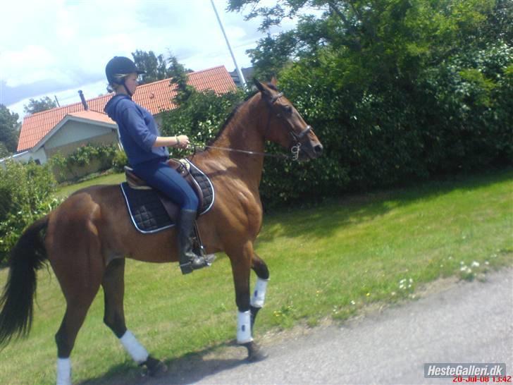 Traver morgan bork *død* billede 12