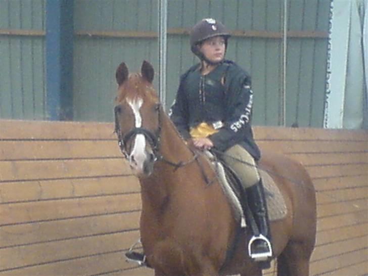 Anden særlig race Robin  - se hvor fin jeg er:p billede 1