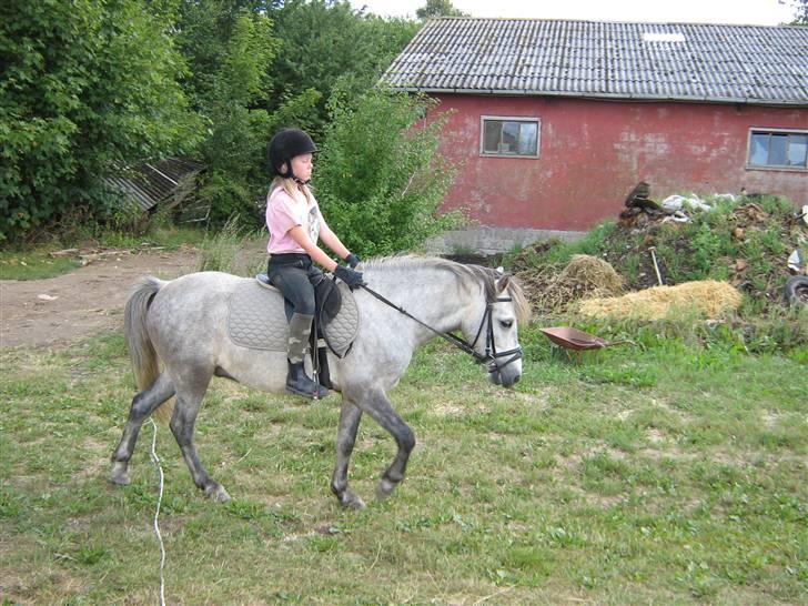 Anden særlig race Sigurd solgt. - hihi mig og sigurd billede 13