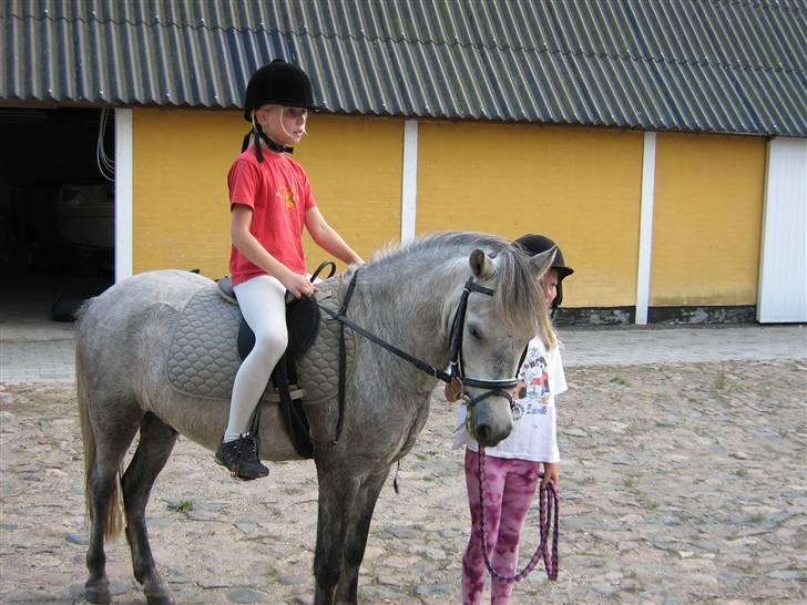Anden særlig race Sigurd solgt. - =) billede 14