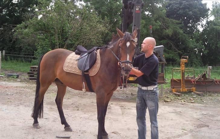 Traver !!!Garcon!!! - Min prins med min hest <3 <3 <3 billede 6