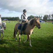 Anden særlig race JACKPOT