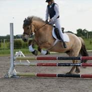 Anden særlig race Musse <3 Død d. 27.9.2012