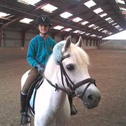 Anden særlig race Sheila (på pension)