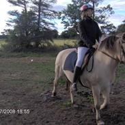 Fjordhest Karen (aflivet)