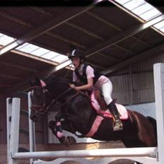 Welsh Partbred (Sec F) Wendy Van De Gezandebaan