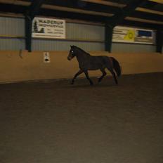 Anden særlig race Fly By Me. Helt unik!<3