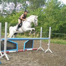 Sportsaraber (A) Habidi