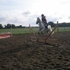 Sportsaraber (A) Habidi