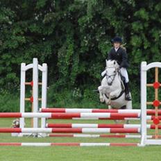 Welsh Mountain (sec A) Josefine smedegård solgt