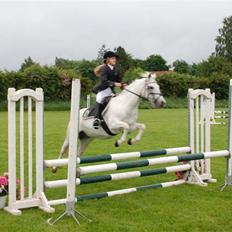 Welsh Mountain (sec A) Josefine smedegård solgt