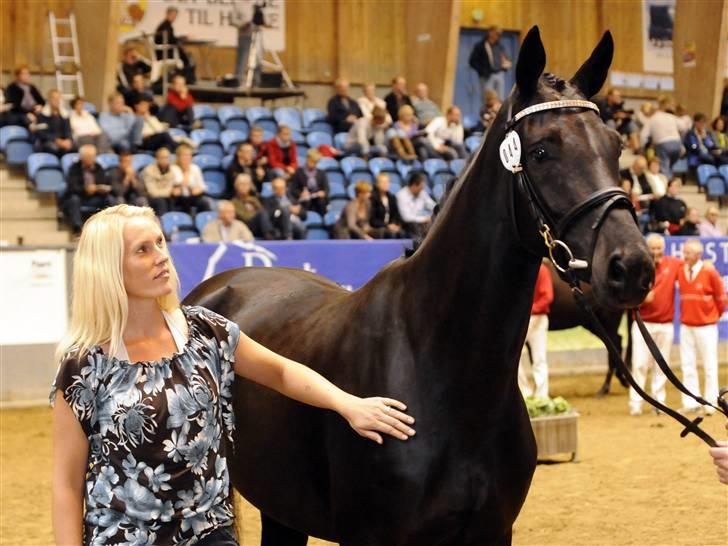 Dansk Varmblod Højbo' Mandalay BRDH - En super stolt ejer der modtager bronze medalje for en fantastisk præstation fra Mandalay. billede 1