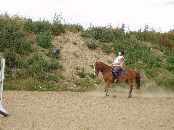 Anden særlig race Lukas / Solgt! :'(  .../  - Dressur 16/6 billede 15