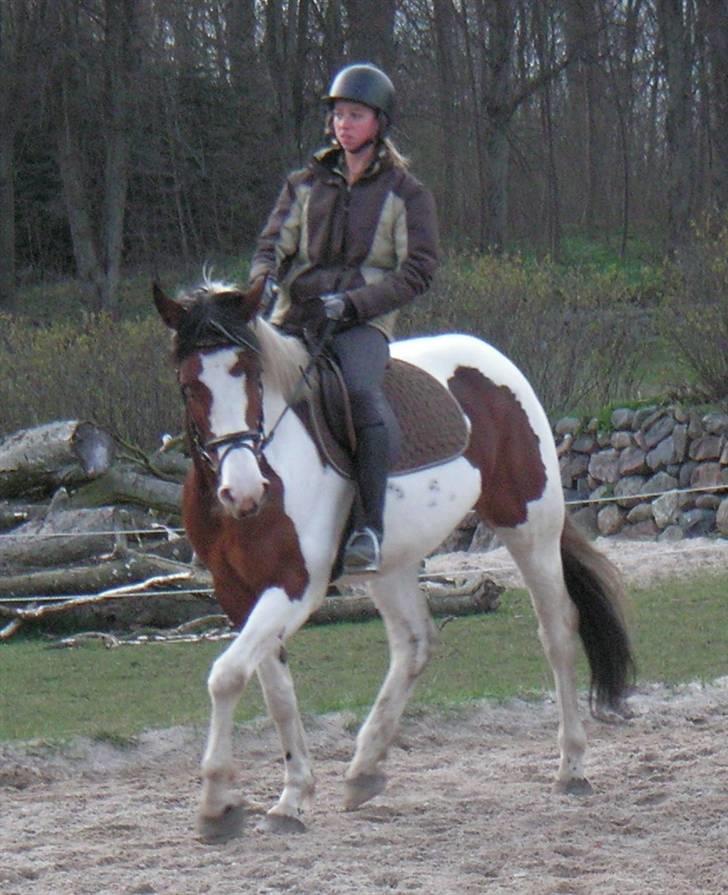 Pinto Chopstick R.I.P billede 10