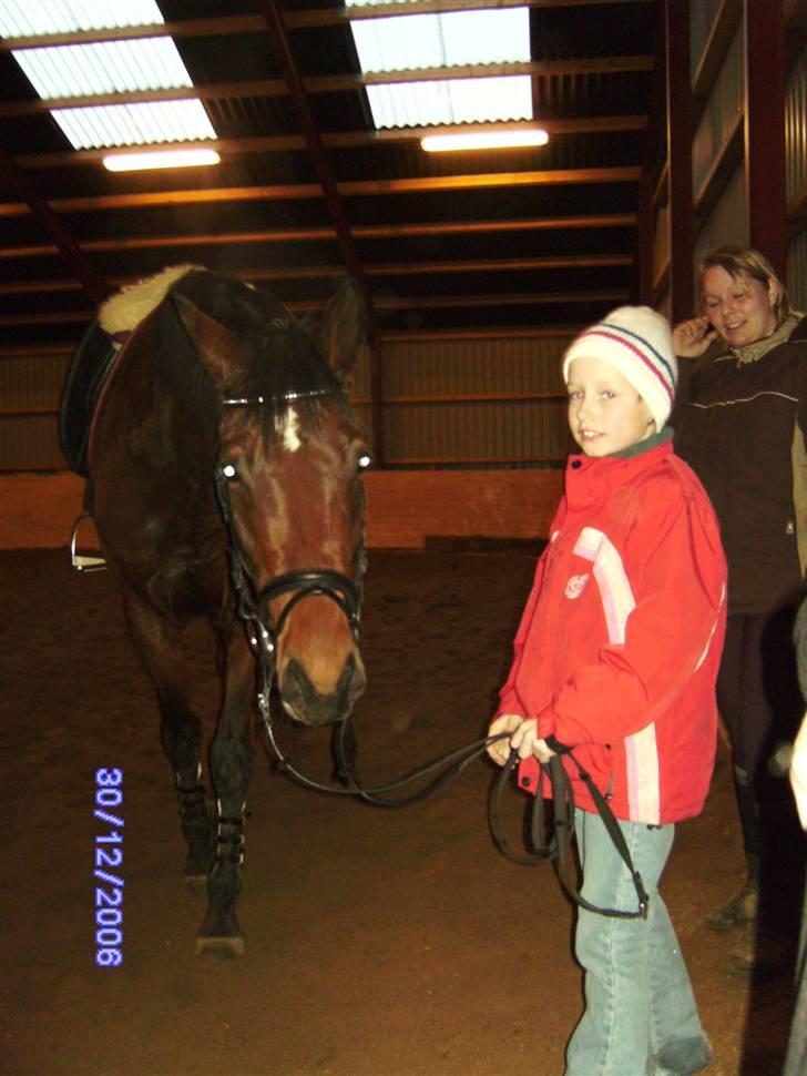 Trakehner Anaconda H RIP billede 3