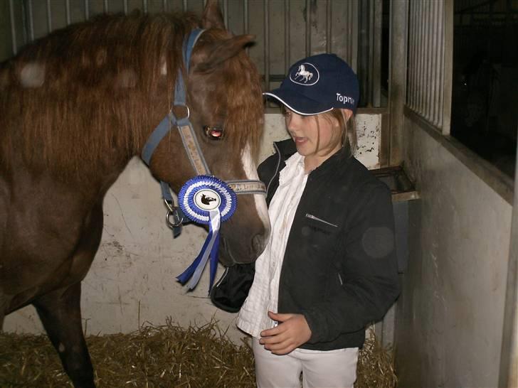 Welsh Partbred (Sec F)               Patricia - Her har jeg lige vundet en andet plads til et trænings stævne på RFH Foto: Mor 2008 billede 7