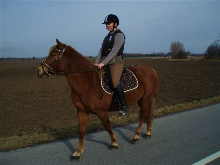 Anden særlig race maybeline Solgt (SAVNES)! - en rigtig dejlig hygge dag :D<3<3 billede 12