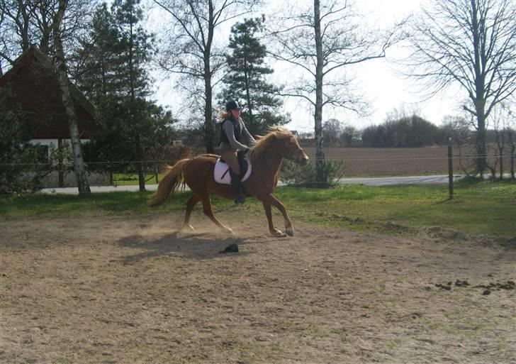 Anden særlig race maybeline Solgt (SAVNES)! - Fordi jeg elsker dig, min skath!<3 billede 15