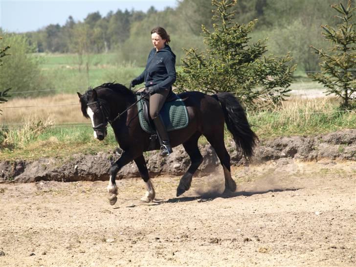 Anden særlig race |fenja| - {1} velkommen. billede 1