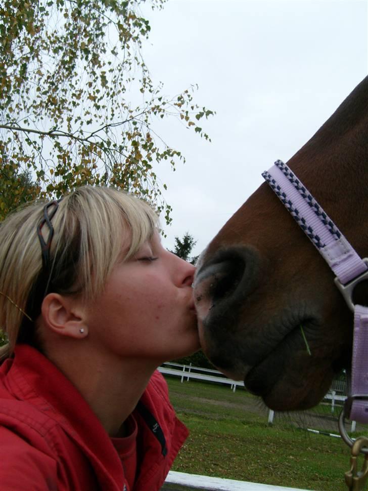 Hannoveraner | Kærslunds Chanel - 20/ Taget d. ??-??-2007 billede 20