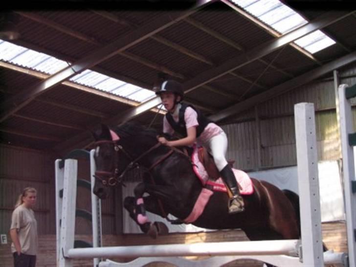 Welsh Partbred (Sec F) Wendy Van De Gezandebaan - Stævne, LB, RORK - 3. plads Jubii billede 3