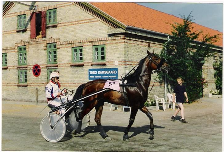 Traver unodix ( dixie) død - dette er fra mine unge dage på lunden billede 4